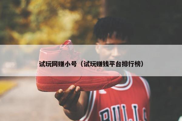 试玩网赚小号（试玩赚钱平台排行榜）