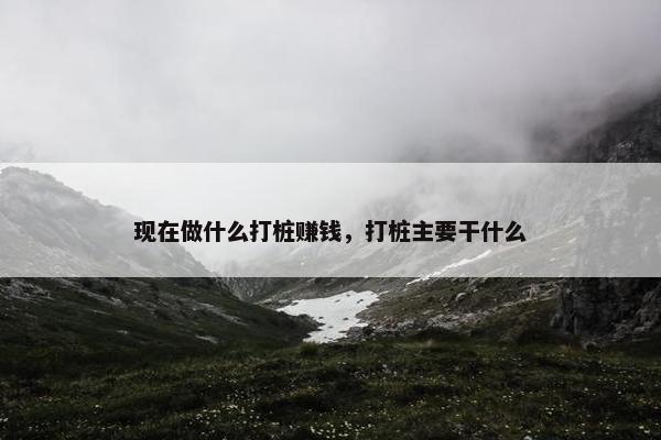 现在做什么打桩赚钱，打桩主要干什么