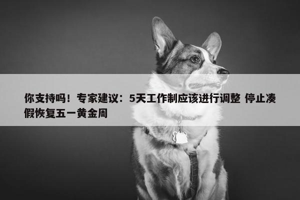 你支持吗！专家建议：5天工作制应该进行调整 停止凑假恢复五一黄金周