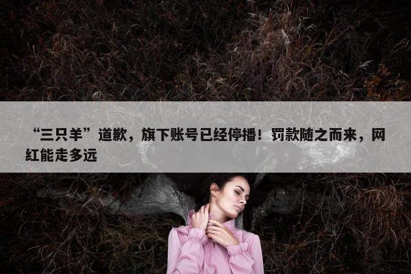 “三只羊”道歉，旗下账号已经停播！罚款随之而来，网红能走多远