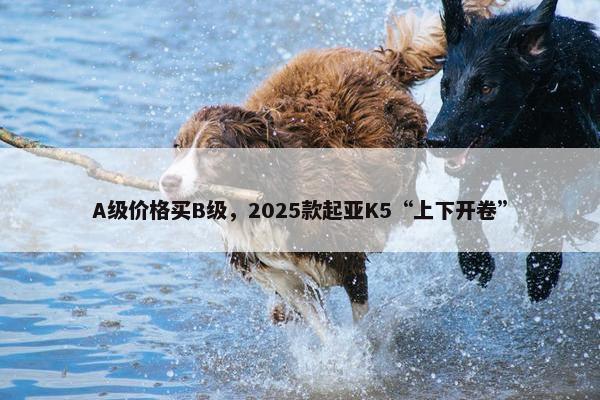 A级价格买B级，2025款起亚K5“上下开卷”