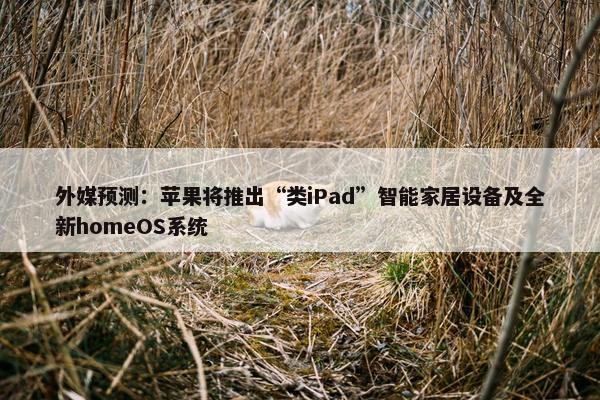 外媒预测：苹果将推出“类iPad”智能家居设备及全新homeOS系统