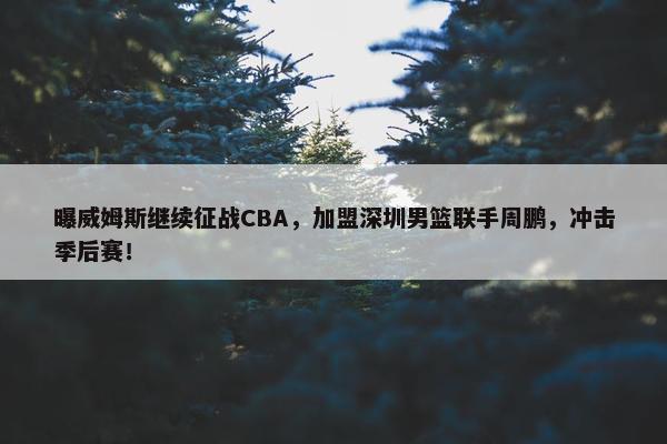 曝威姆斯继续征战CBA，加盟深圳男篮联手周鹏，冲击季后赛！