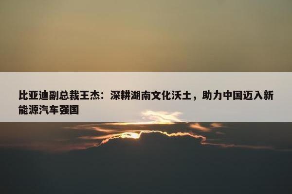 比亚迪副总裁王杰：深耕湖南文化沃土，助力中国迈入新能源汽车强国