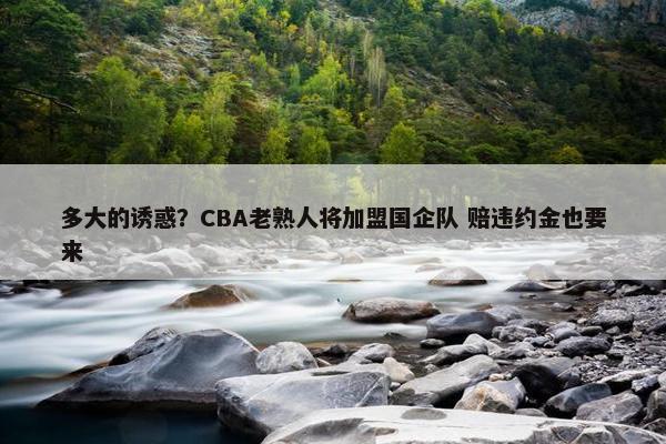 多大的诱惑？CBA老熟人将加盟国企队 赔违约金也要来