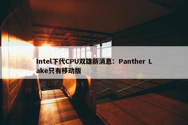 Intel下代CPU双雄新消息：Panther Lake只有移动版