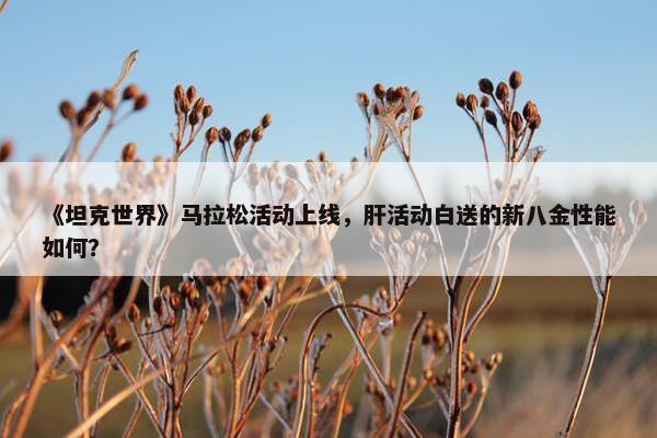 《坦克世界》马拉松活动上线，肝活动白送的新八金性能如何？