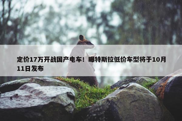 定价17万开战国产电车！曝特斯拉低价车型将于10月11日发布