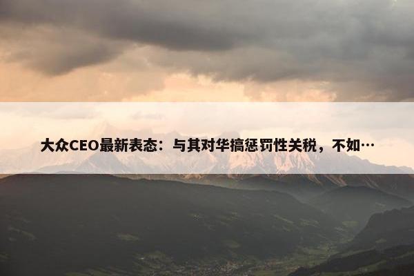 大众CEO最新表态：与其对华搞惩罚性关税，不如…