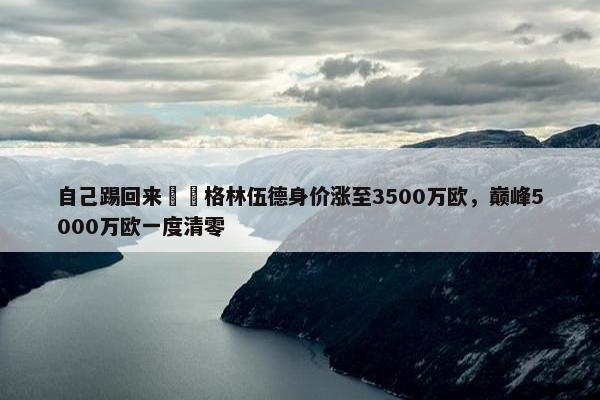 自己踢回来❗️格林伍德身价涨至3500万欧，巅峰5000万欧一度清零