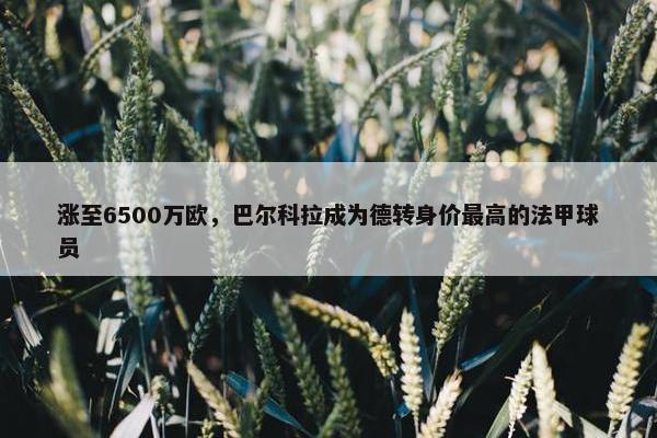 涨至6500万欧，巴尔科拉成为德转身价最高的法甲球员