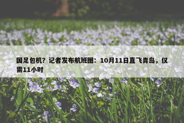 国足包机？记者发布航班图：10月11日直飞青岛，仅需11小时