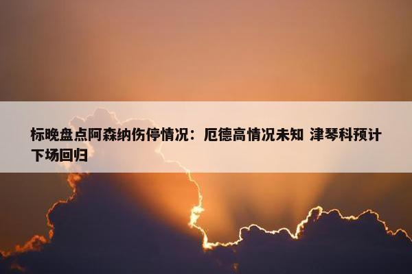 标晚盘点阿森纳伤停情况：厄德高情况未知 津琴科预计下场回归