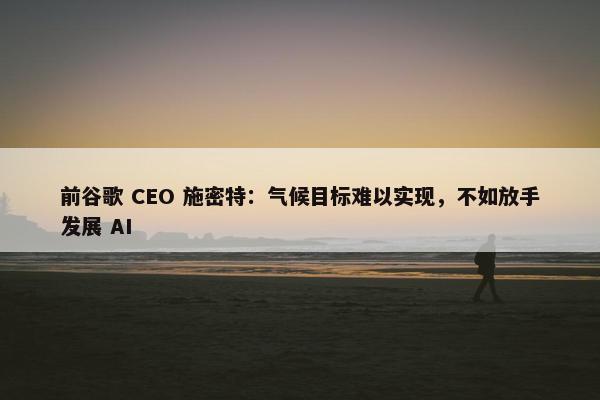 前谷歌 CEO 施密特：气候目标难以实现，不如放手发展 AI